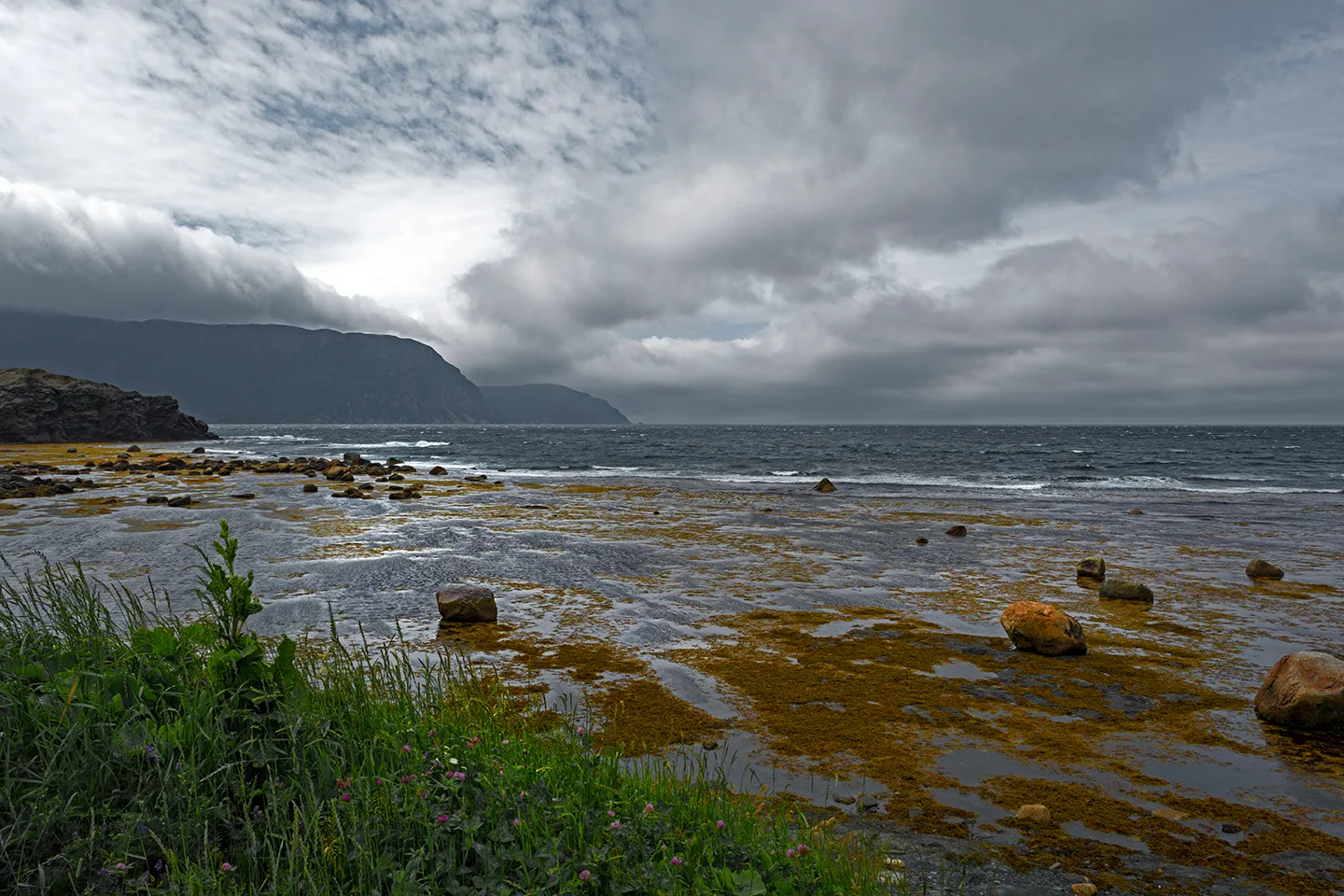 Newfoundlandport 12