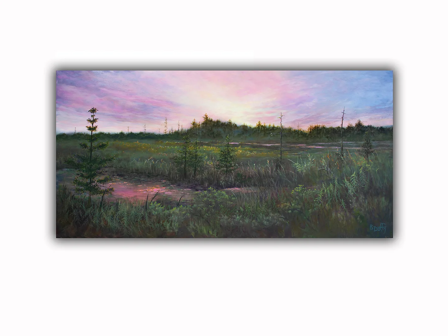Florida Swamp 2