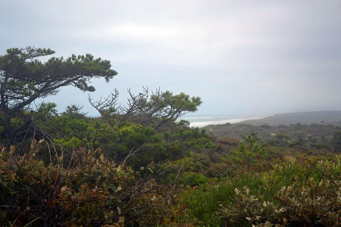 Cape Cod 7