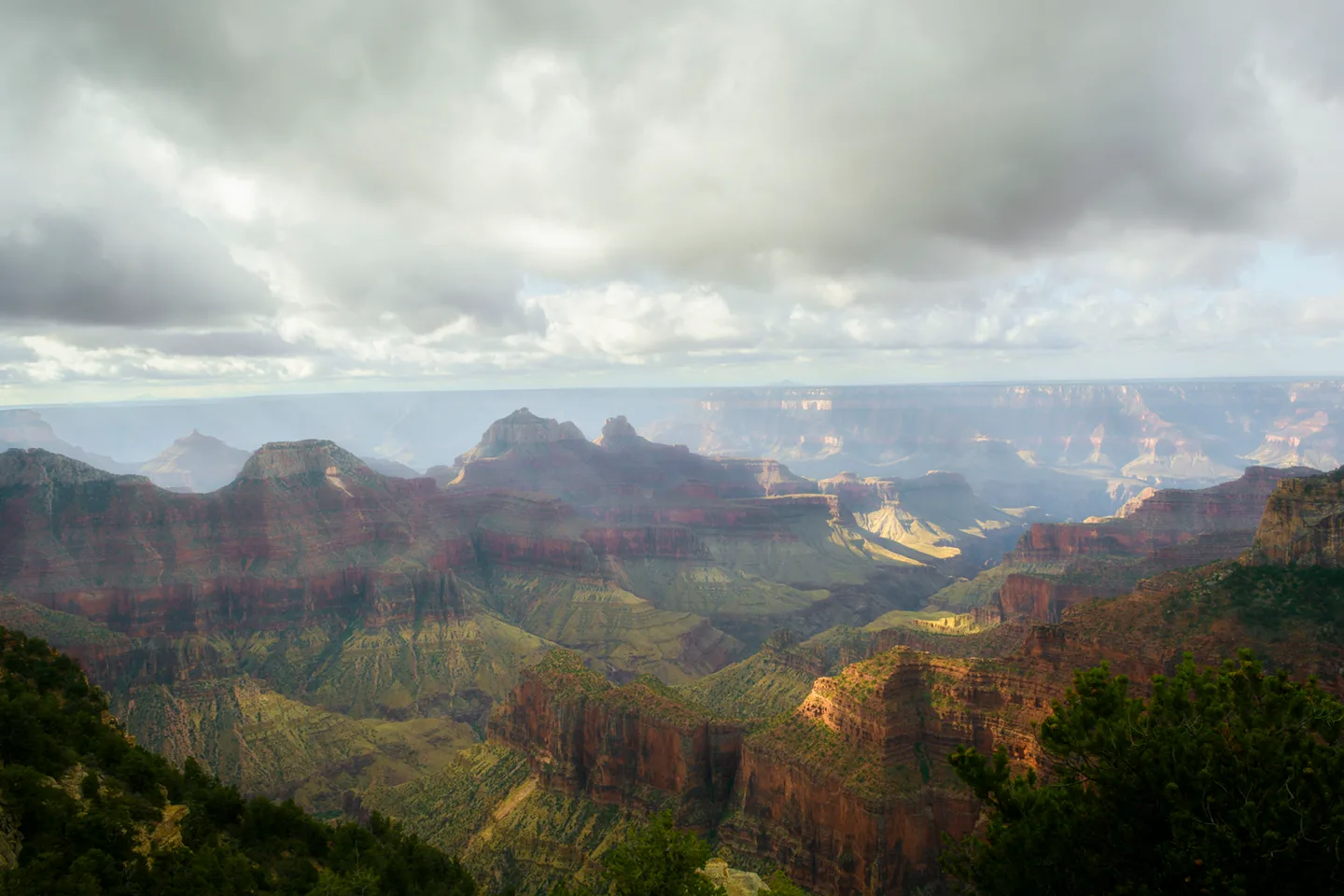 Northrim 6