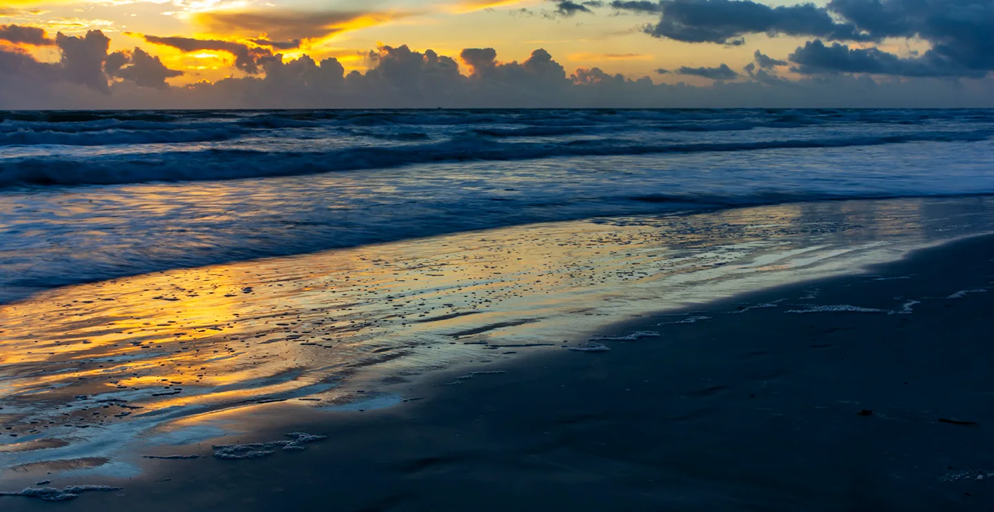 Nsb 5