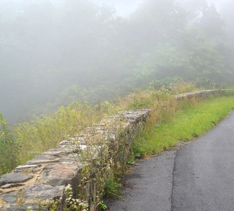 Wall