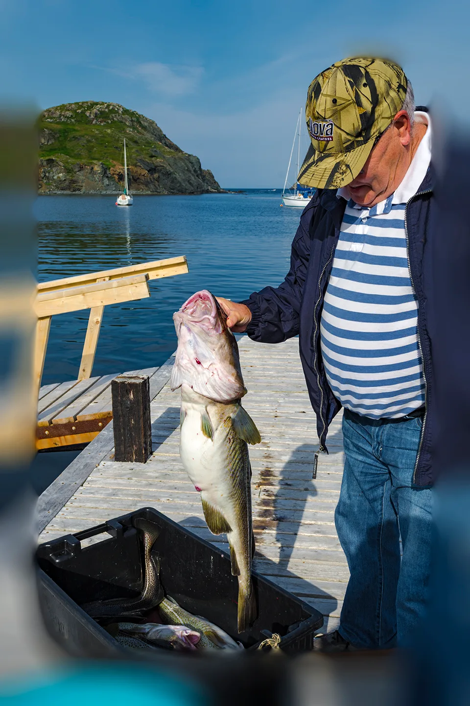 Twillingate 59