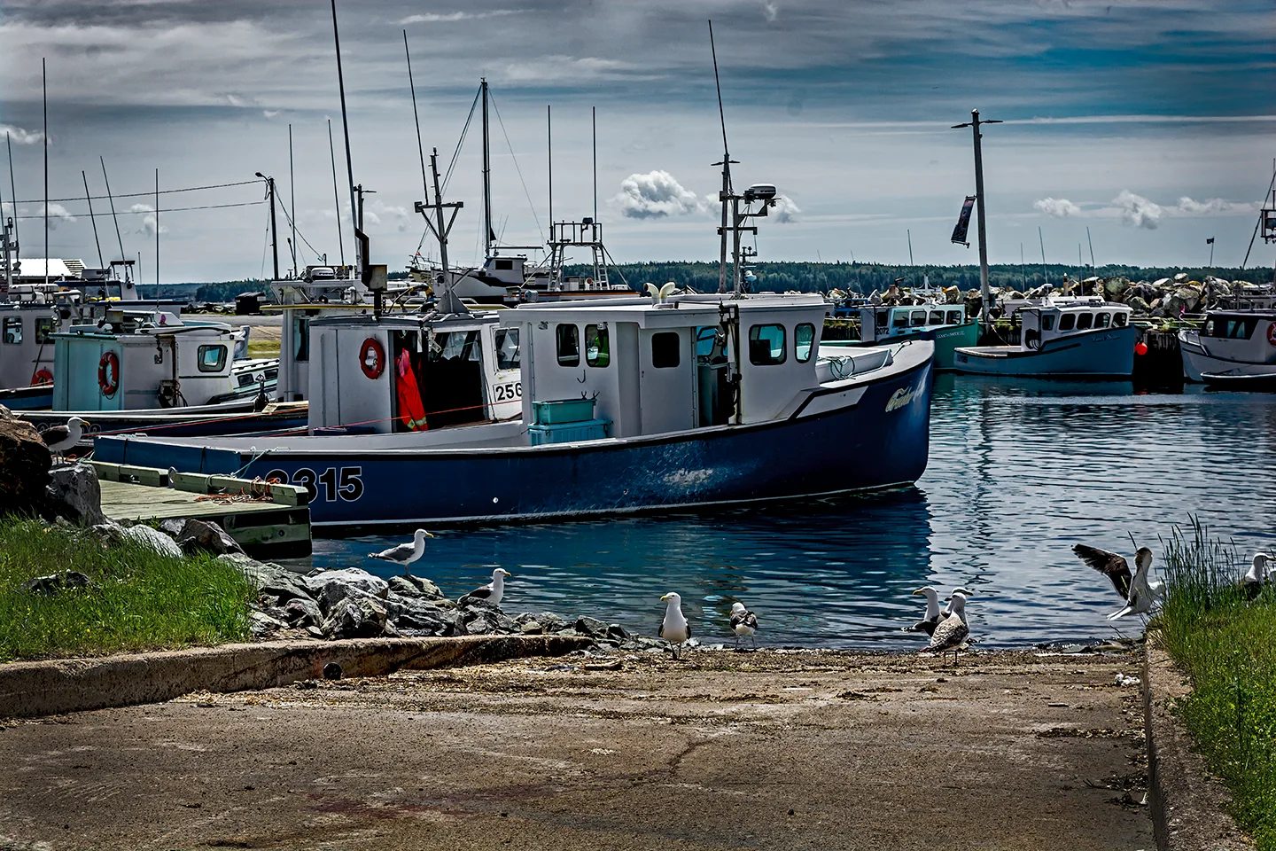 Northsidneyns 1
