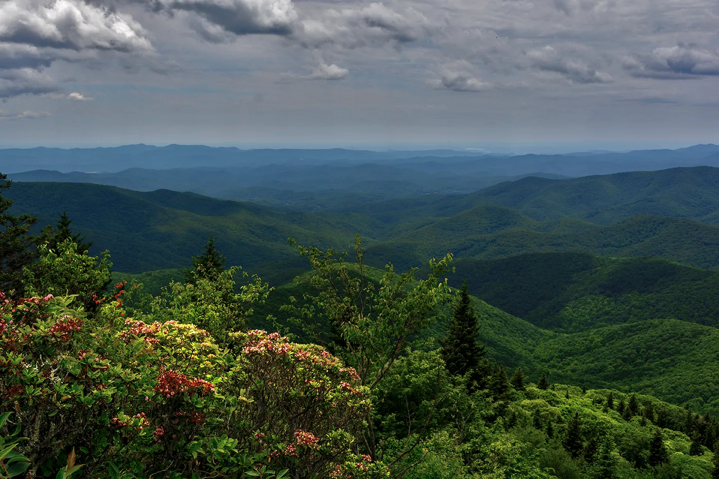 Parkway 1