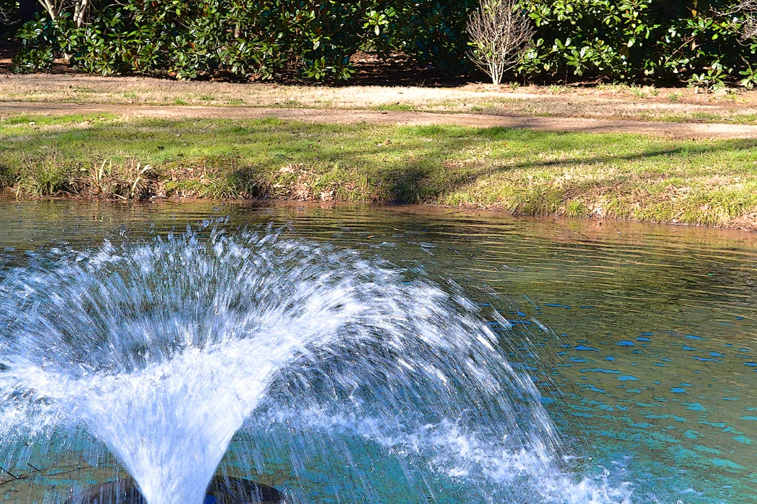 Fountain 4