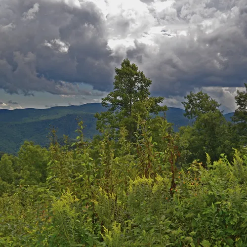 Blueridge Parkway 2