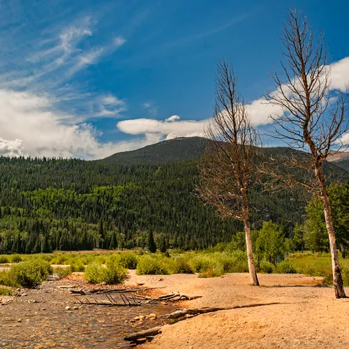 Estes 2