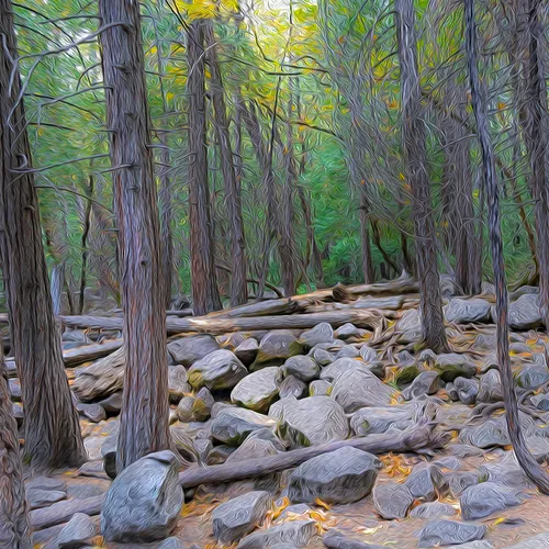 Yosemite 54