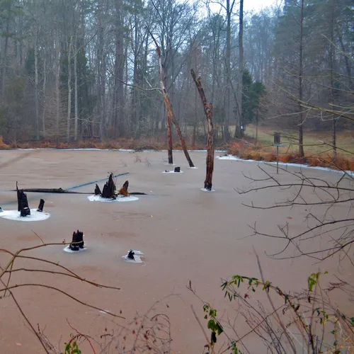 Icy Pond