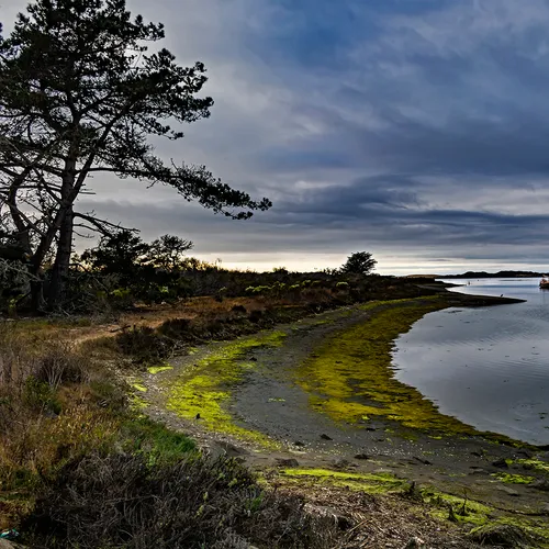 Morrobay 2