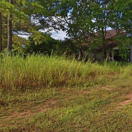 Point Rd 1