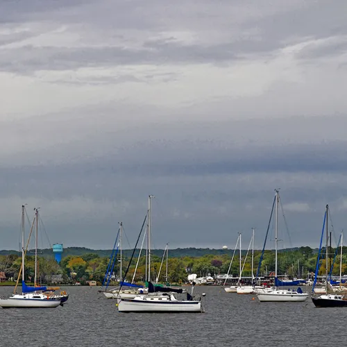 Sailboats 4