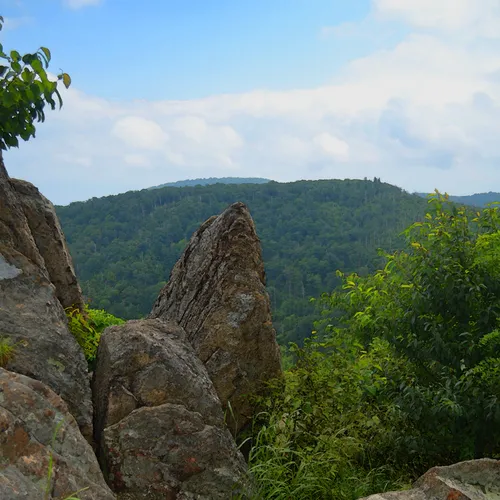 Rocks