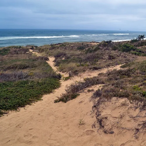 Cape Cod 1