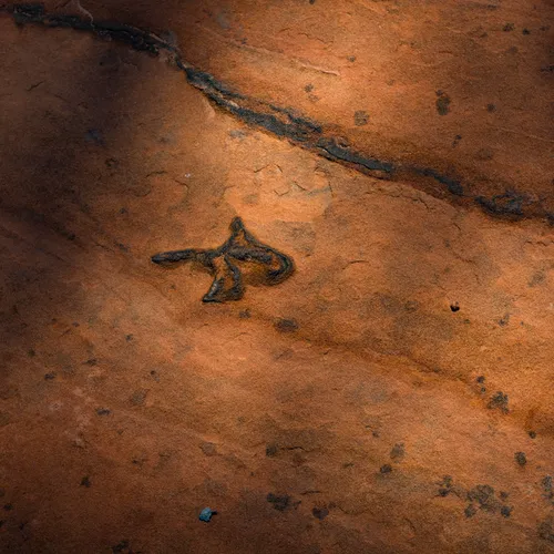 Dinosaurtrack 5