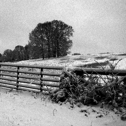 Snow 2015 Gate