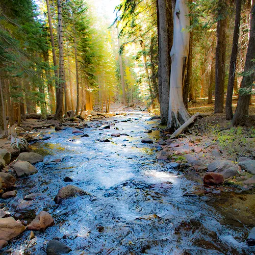Yosemite 13