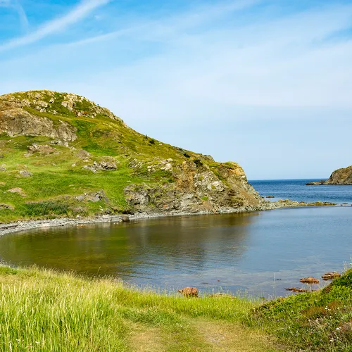 Twillingate 64