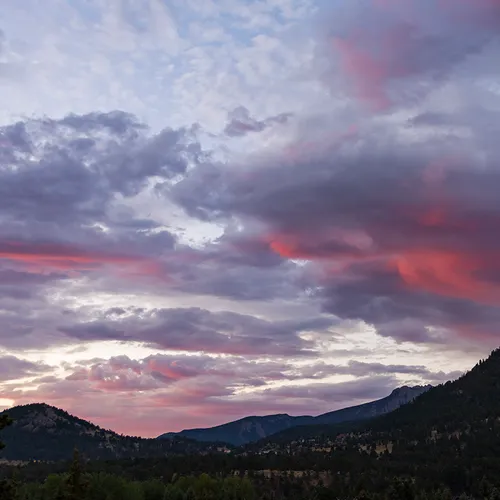 Estes 20