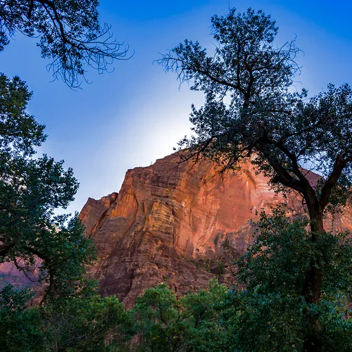 Zion 45