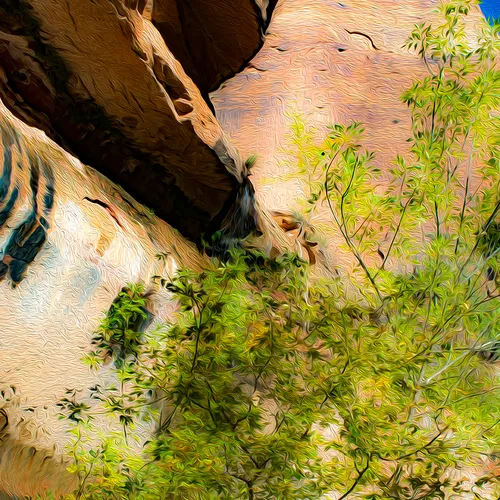 Zion 6