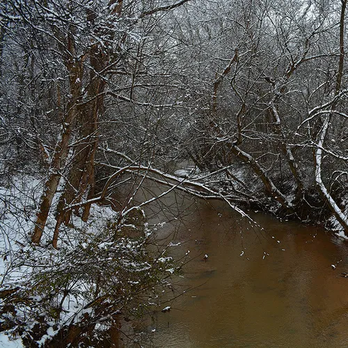 Snow 2015 White Rd