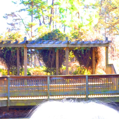 Fountain 8