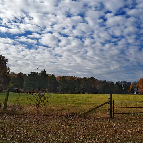 Poteat Field