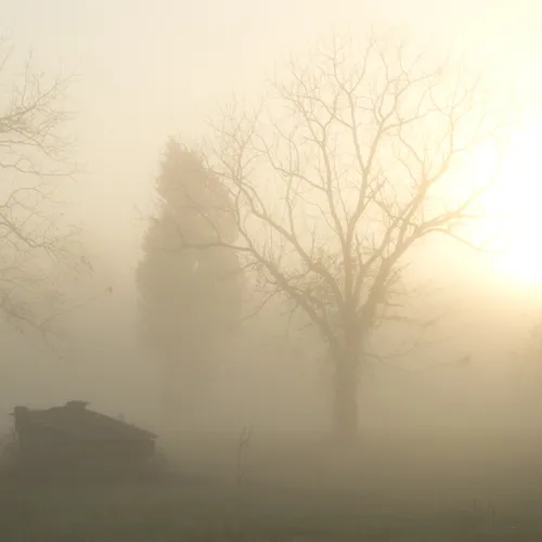 Fog With Pump House