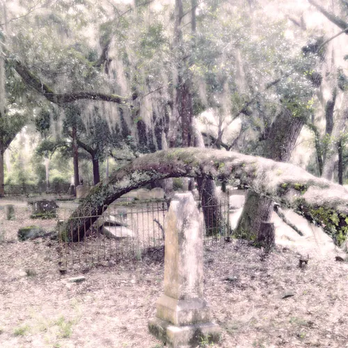 Graveyard 14