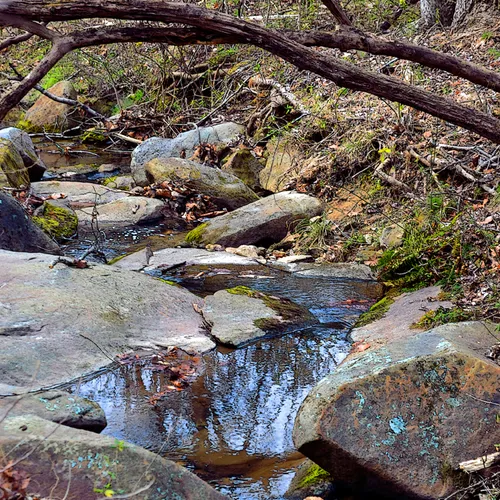 Rocks in uwharrie