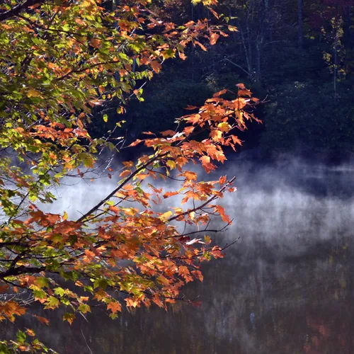Lake-Fall 8