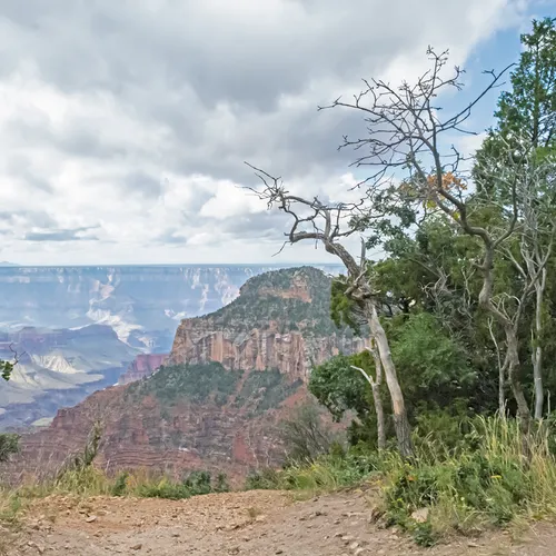 Northrim 19