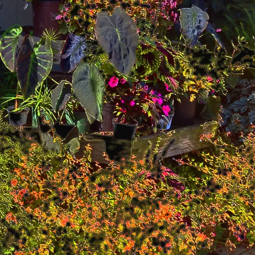 Plants 2