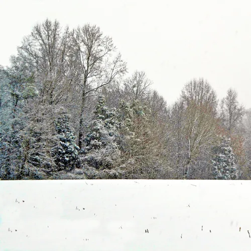 Yard Snow 18