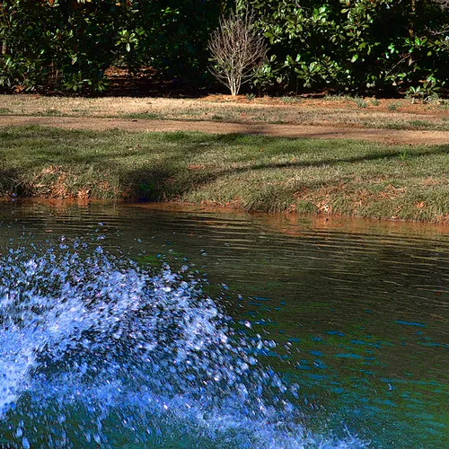 Fountain 5