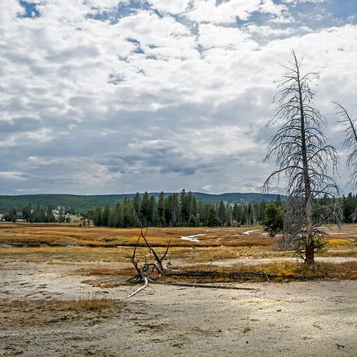 Yellowstone 11