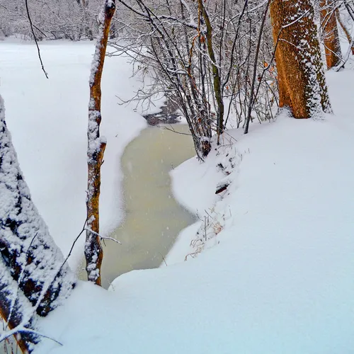 Yard Snow 14