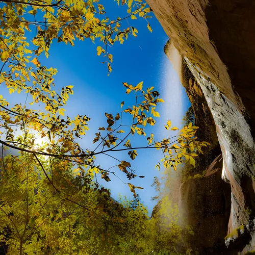 Zion 9