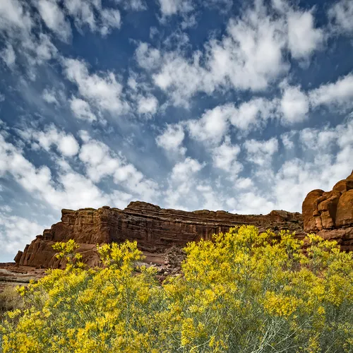 Arches 10