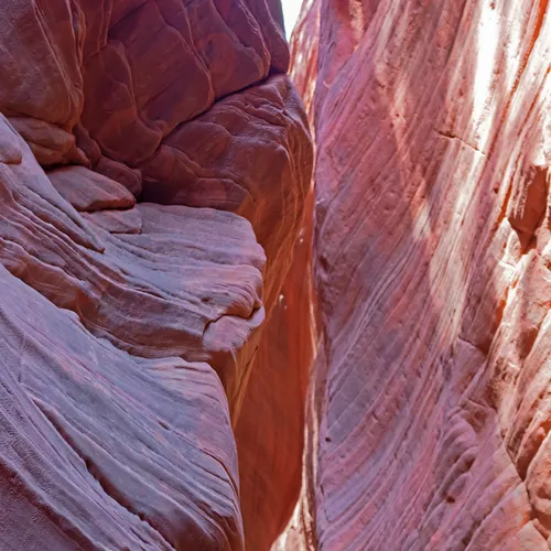 Peekaboo 13