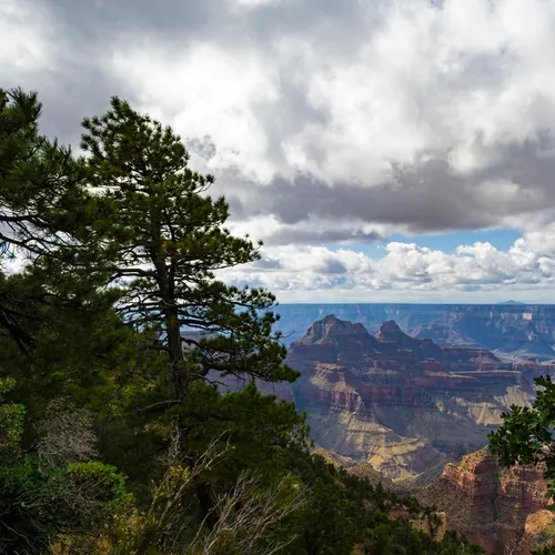 Northrim 26