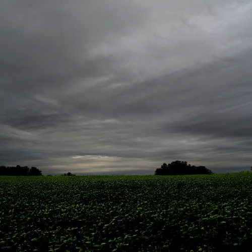 Landscape 1 A