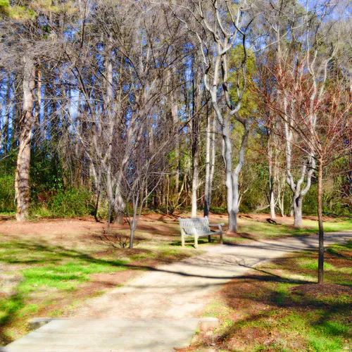 Hurley Park Bench 3