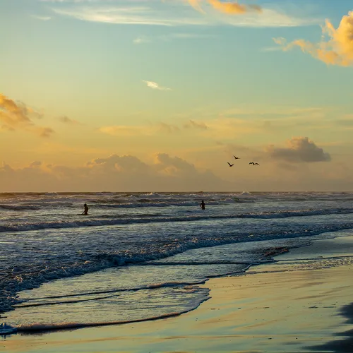Nsb 18