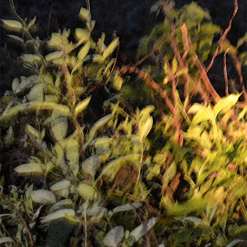 Leaves 2