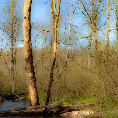 Cadescove 7