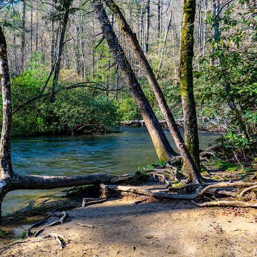 Cadescove 11