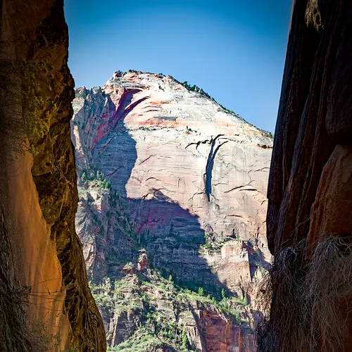Zion 17